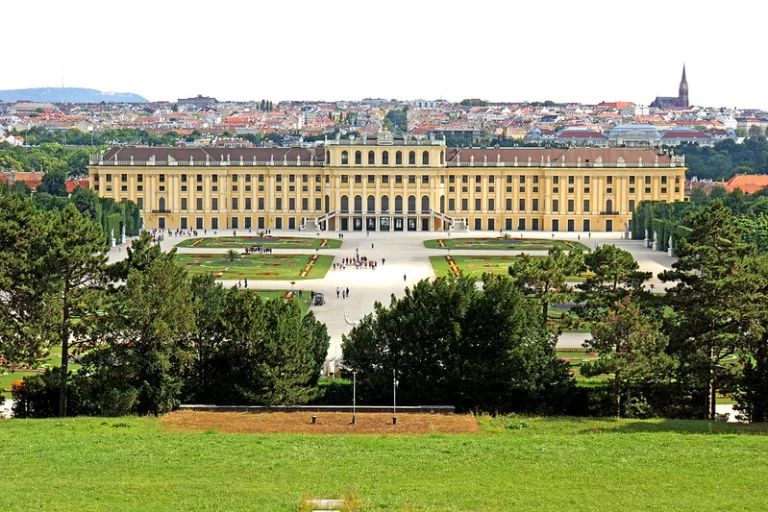 Vienna Melody — photo 3