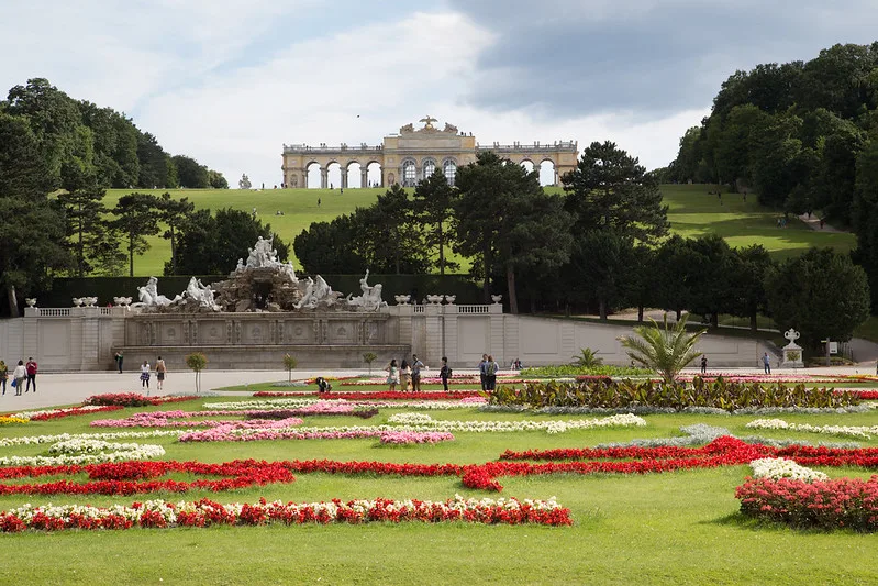 Vienna Melody — photo 4