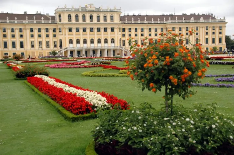 SPA City Break Vienna- SPA Dudince — photo 2