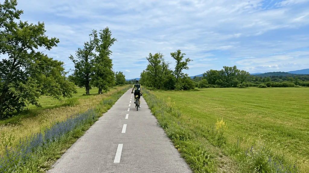 A cyclist on a paved cycle path running between meadows and trees near the Danube in Slovakia.