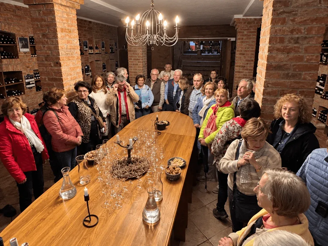 A group at a wine tasting in a brick-vaulted wine cellar, gathered around a long wooden table set with glasses and bottles.