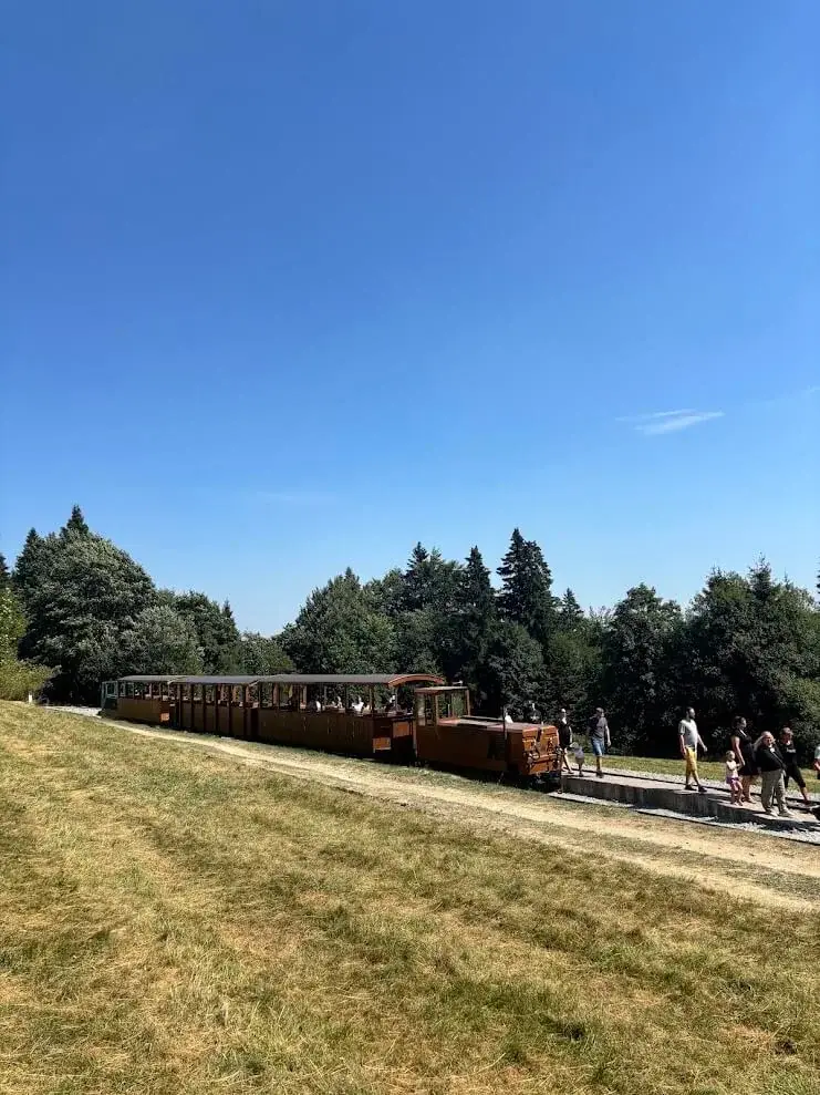 An open-carriage train on a narrow-gauge forest railway, passengers aboard and walkers along the track beside the meadow.