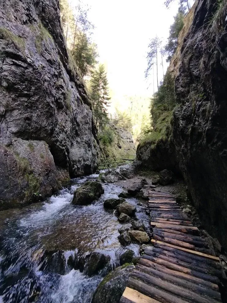 A log boardwalk running beside the stream between the narrow limestone walls of a Slovak gorge.