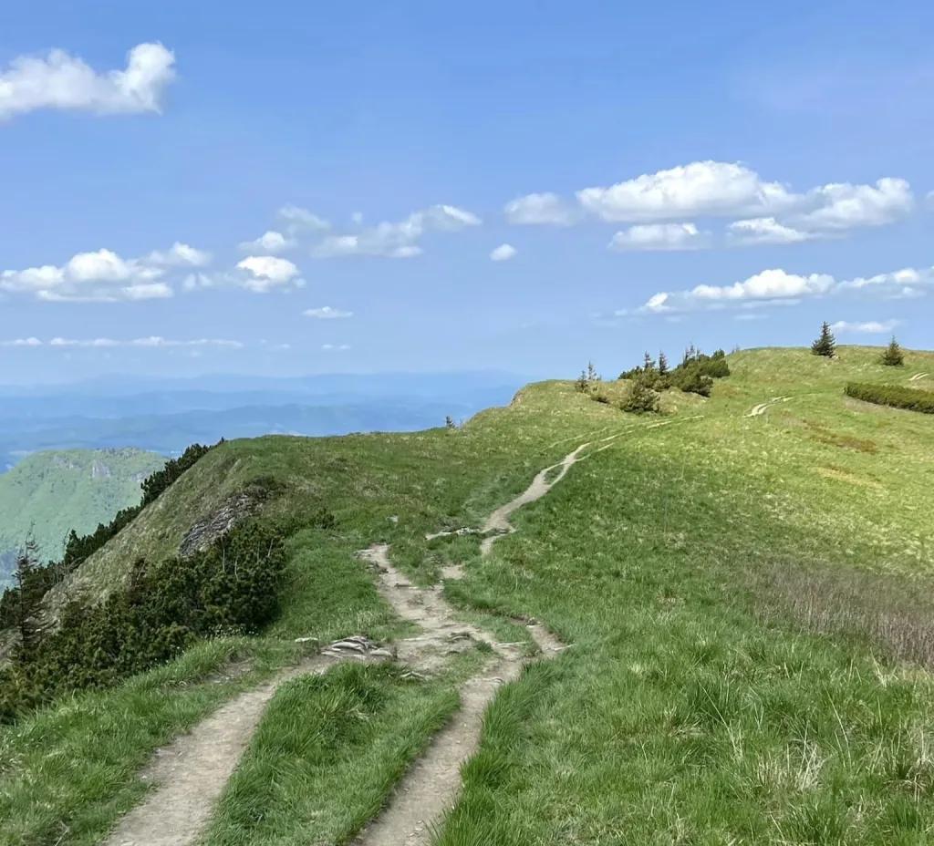 A worn path running along a broad grassy ridge in the Malá Fatra, dwarf pines and spruce on the skyline.