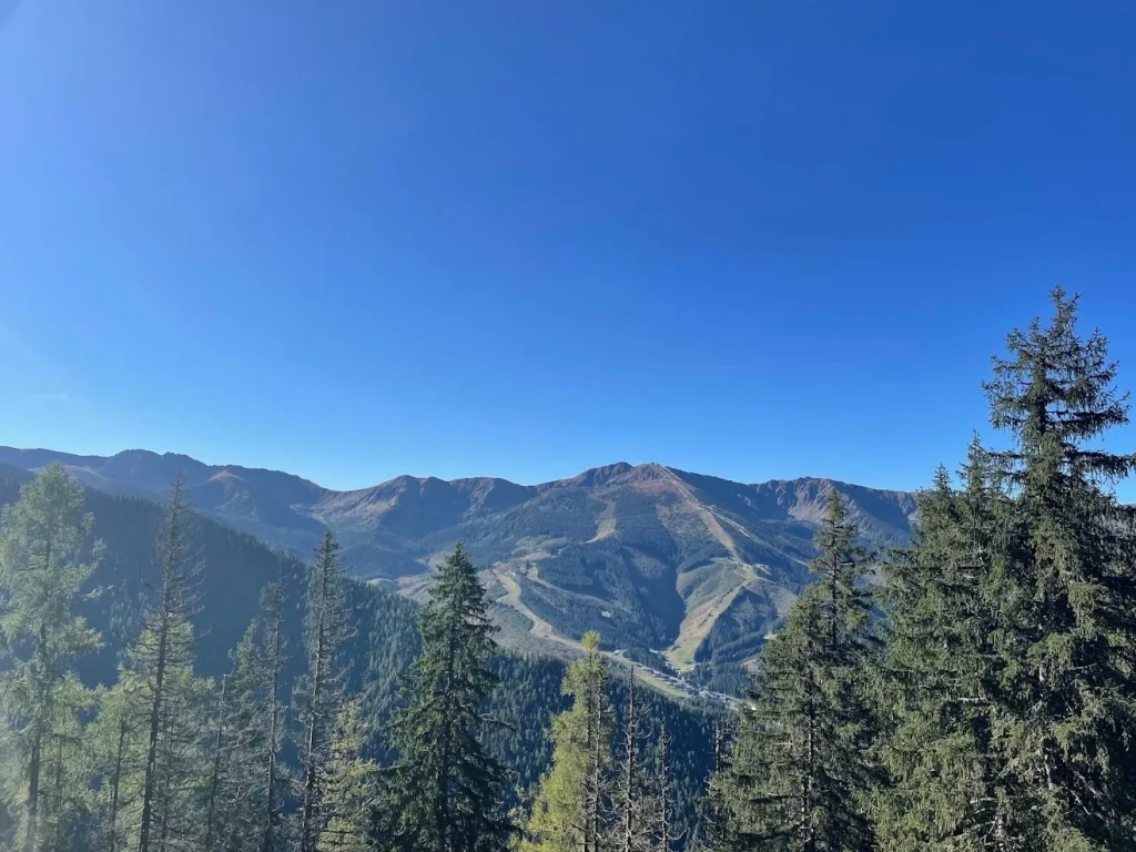 A forested mountainside in Slovakia with ski runs cut through the trees and a bare ridge above.