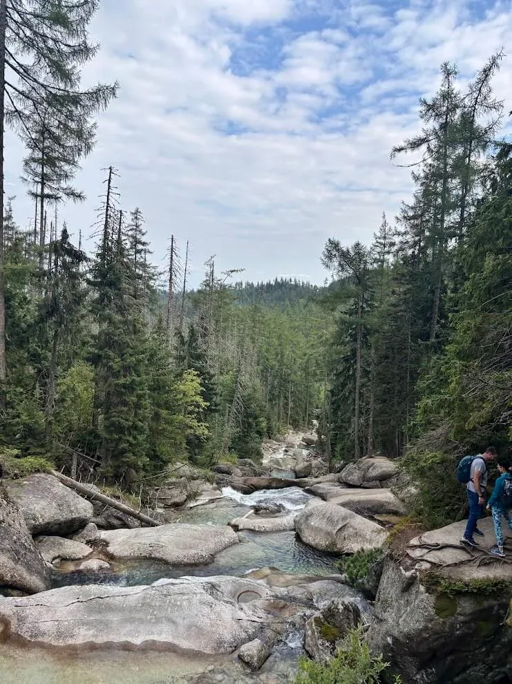 Walkers beside a mountain stream running over granite boulders through the forest in the Tatras.